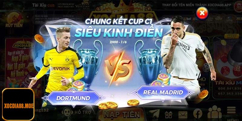 Sảnh thể thao lúc nào cũng sôi động, bùng nổ